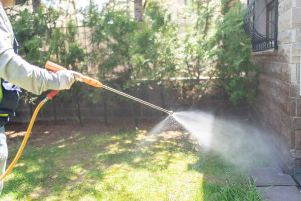 Best Outdoor Pest Control  in White Oak, MS